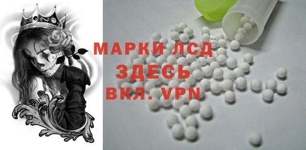 сатива Арсеньев