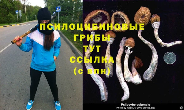 каннабис Балахна