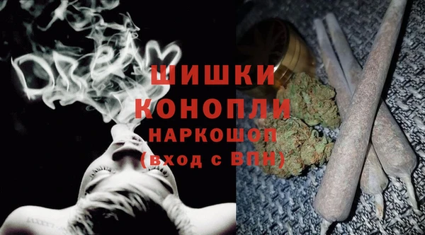 сатива Арсеньев