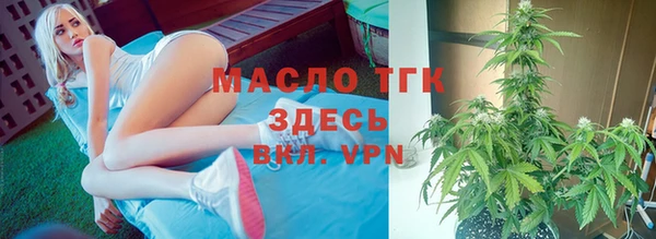твердый Аркадак