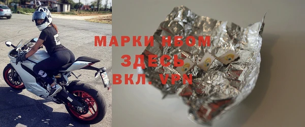 сатива Арсеньев